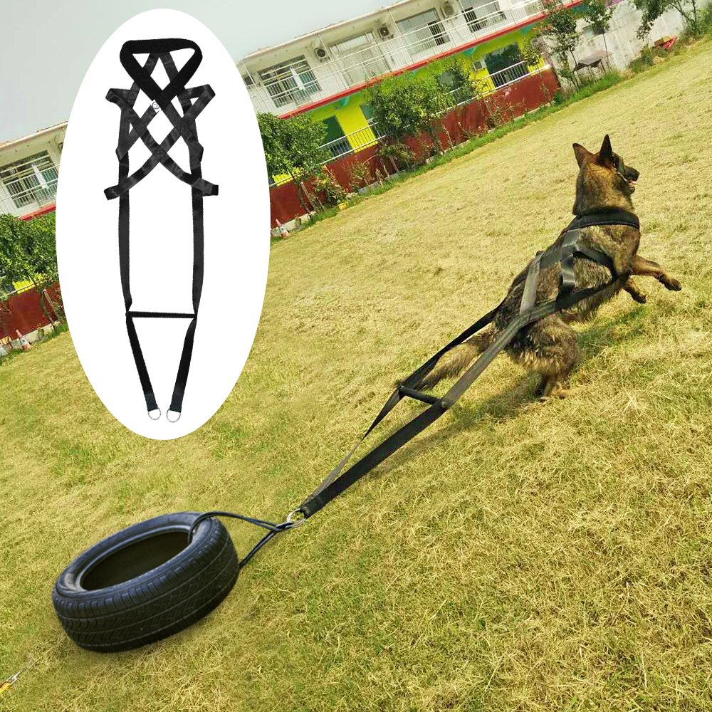 Dog-Training-Product-Supplier-Toys-Dog-Treats-Trainer-Pet-Accessories-Adjustable-for-Medium-Large-Dogs-German.jpg